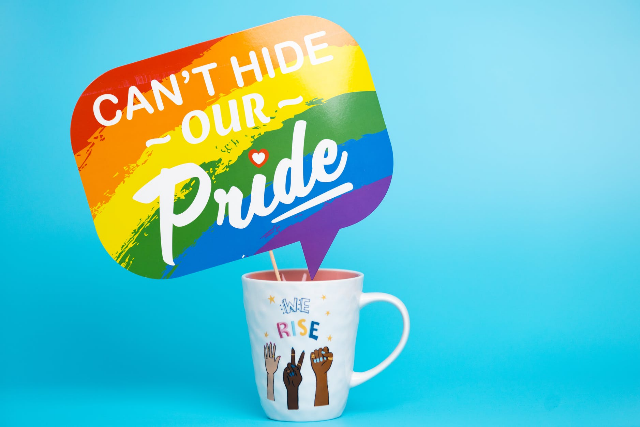 Dumfries Galloway LGBT website build